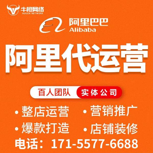 河池电商代运营