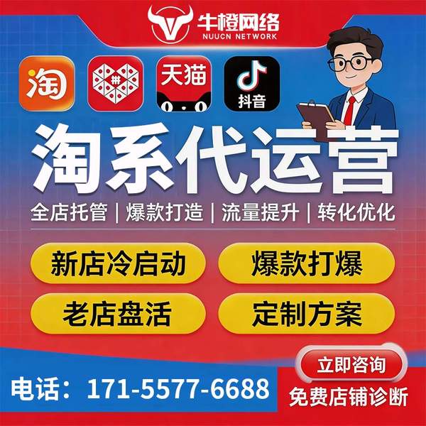 河池电商代运营