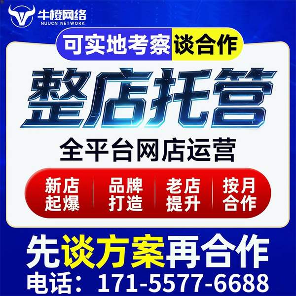 河池电商代运营