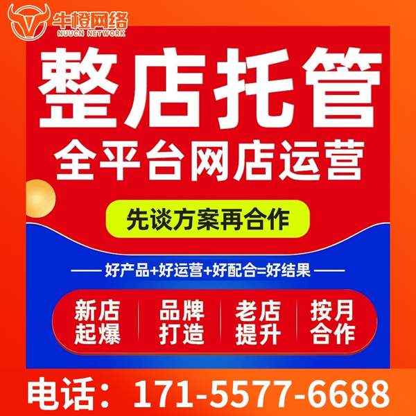 河池电商代运营