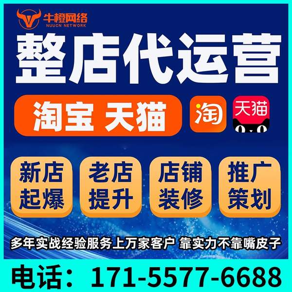 河池电商代运营