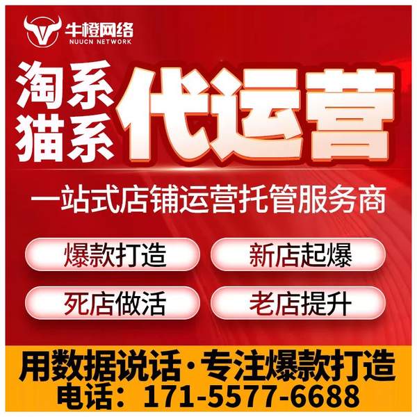 河池电商代运营